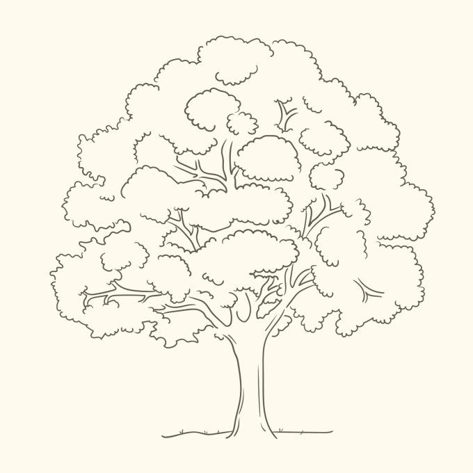 L'Arbre généalogique "classique"
